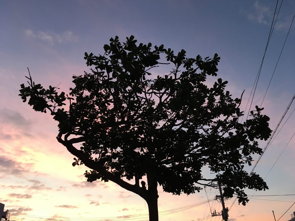 冬の宮古島の気温・服装は？いつまで泳げるの？