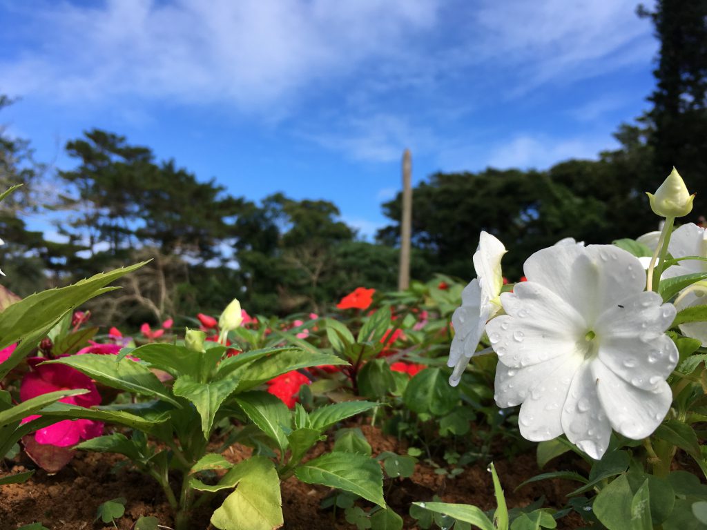 宮古島